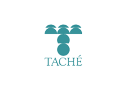 Taché